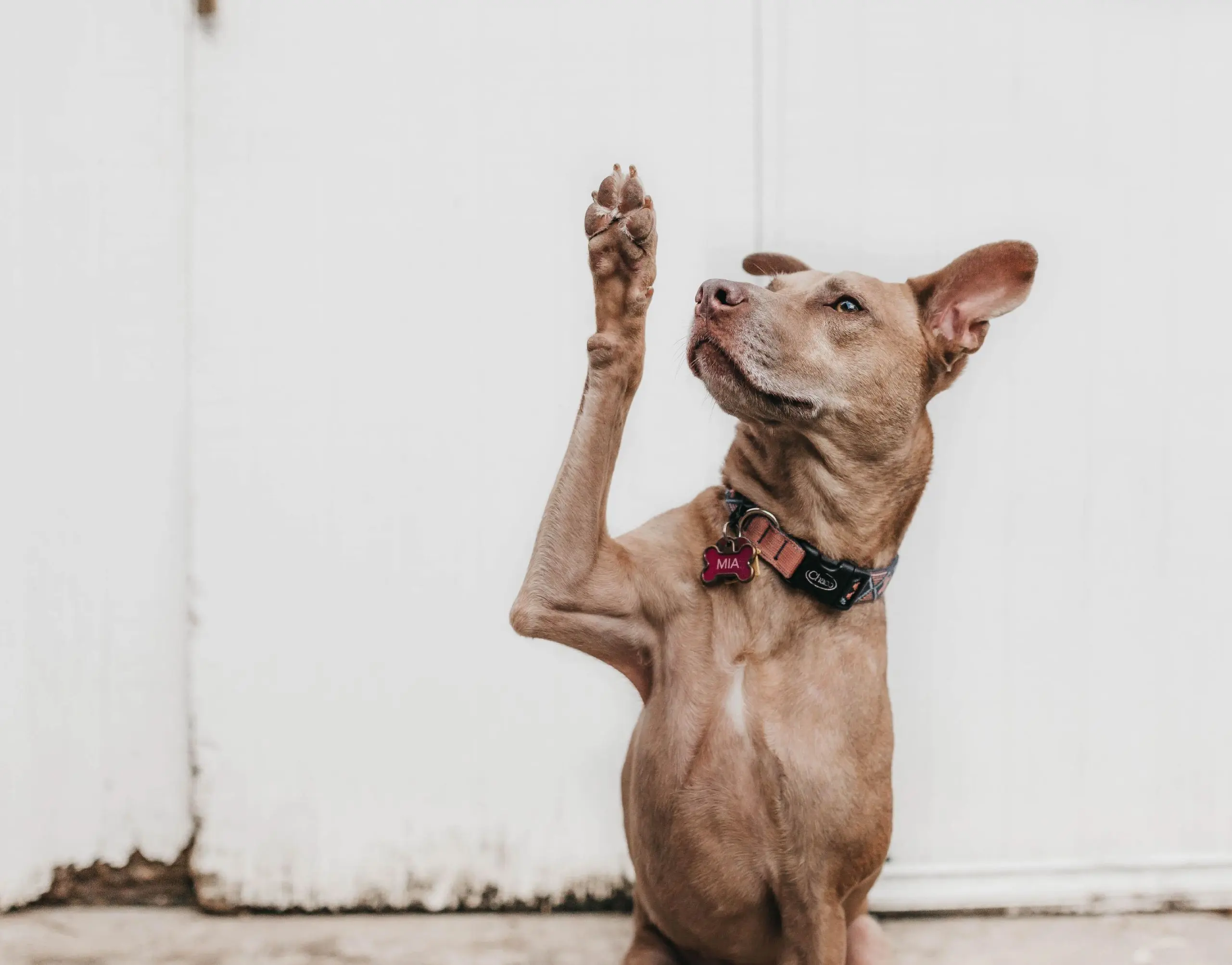 blog_part_1-5_featured_image