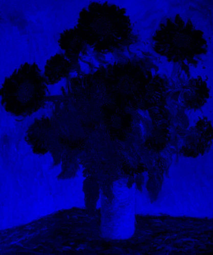 CREATOR: gd-jpeg v1.0 (using IJG JPEG v80), quality = 80
